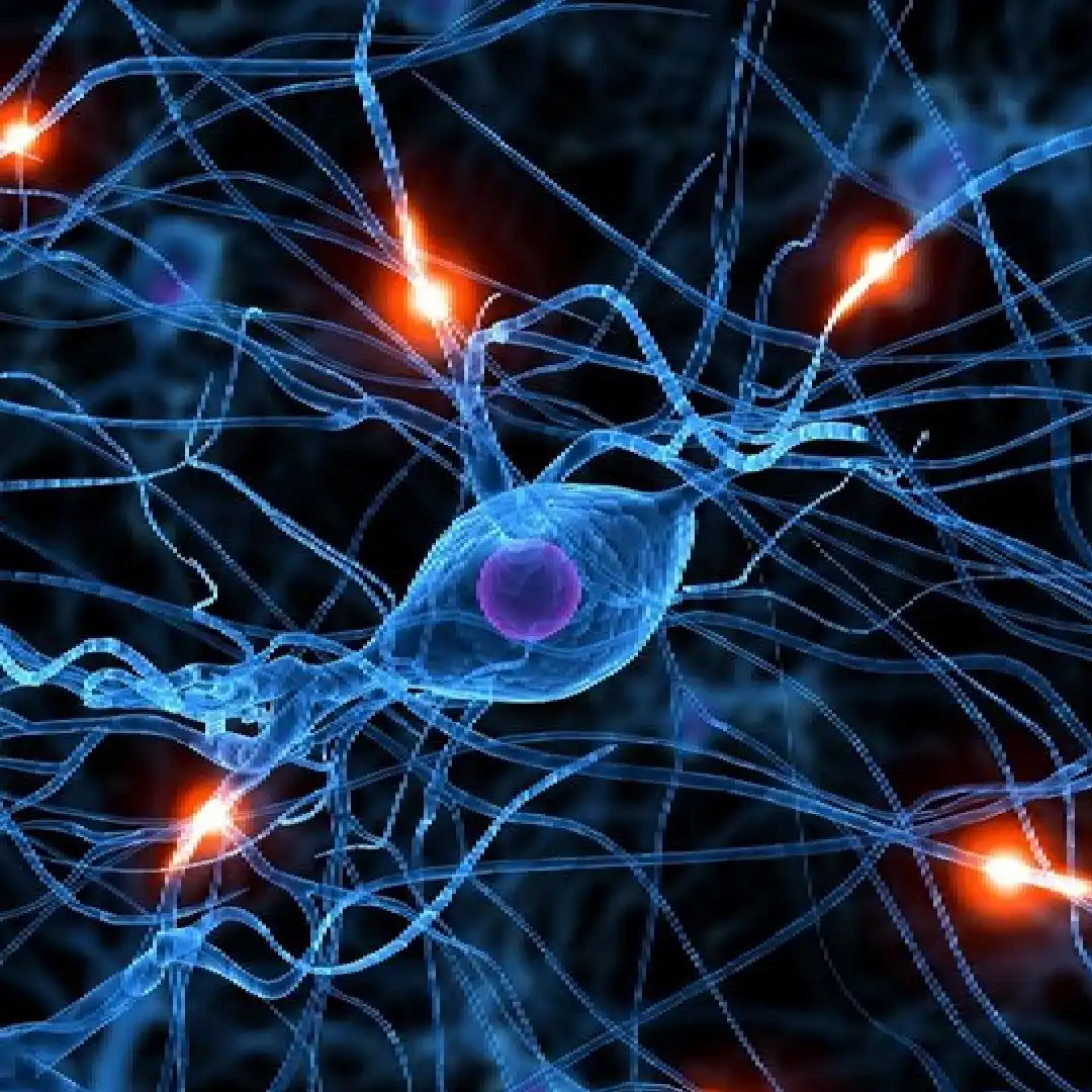 Tratamiento de cefaleas crónicas y migraña